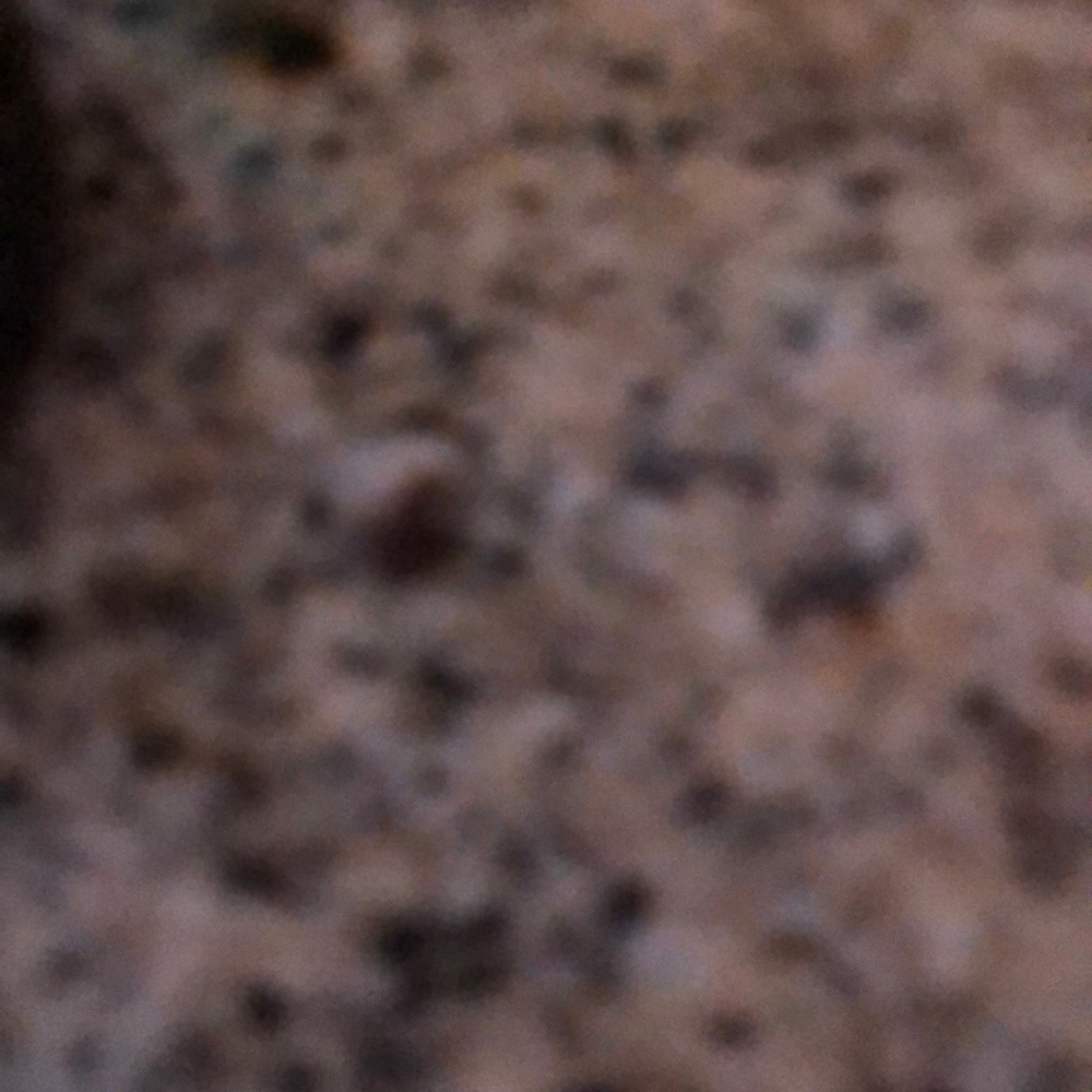 Meet your Posher, Leddy rae